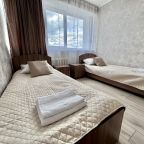 Двухместный (Стандарт двухместный с 2 раздельными кроватями), Гостиница Двуречье