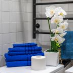 Четырехместный (Двухуровневые апартаменты для четверых около метро с личным закрытым двориком), Апартаменты Люкс в центре Москвы с закрытым патио