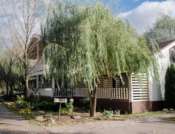 Фотография номера глэмпинга Парк-Отель Рыболовная усадьба