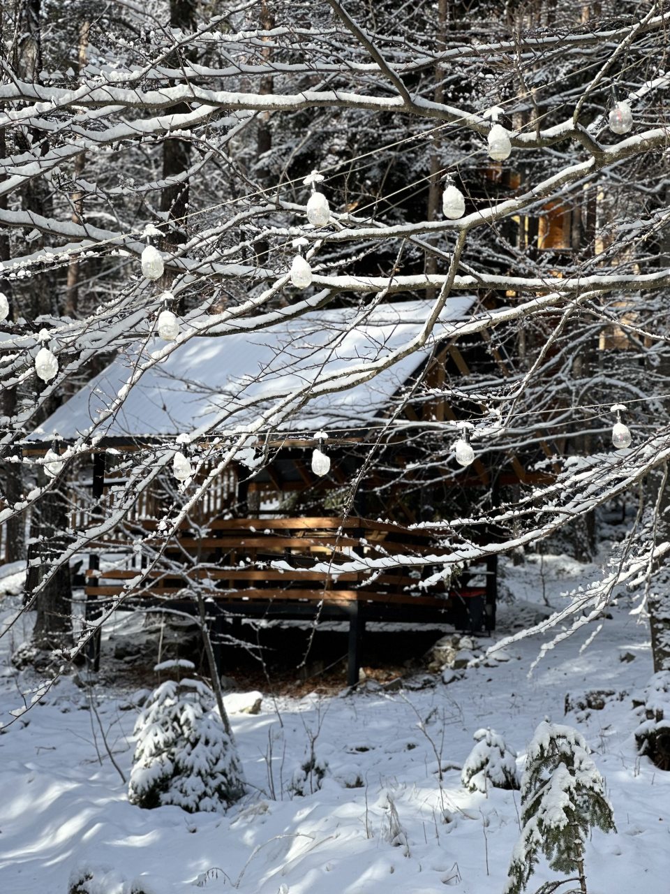 Дом (Барнхаус 1), База отдыха Дух леса