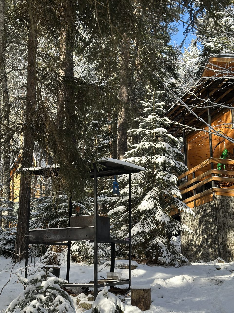 Дом (Барнхаус 1), База отдыха Дух леса