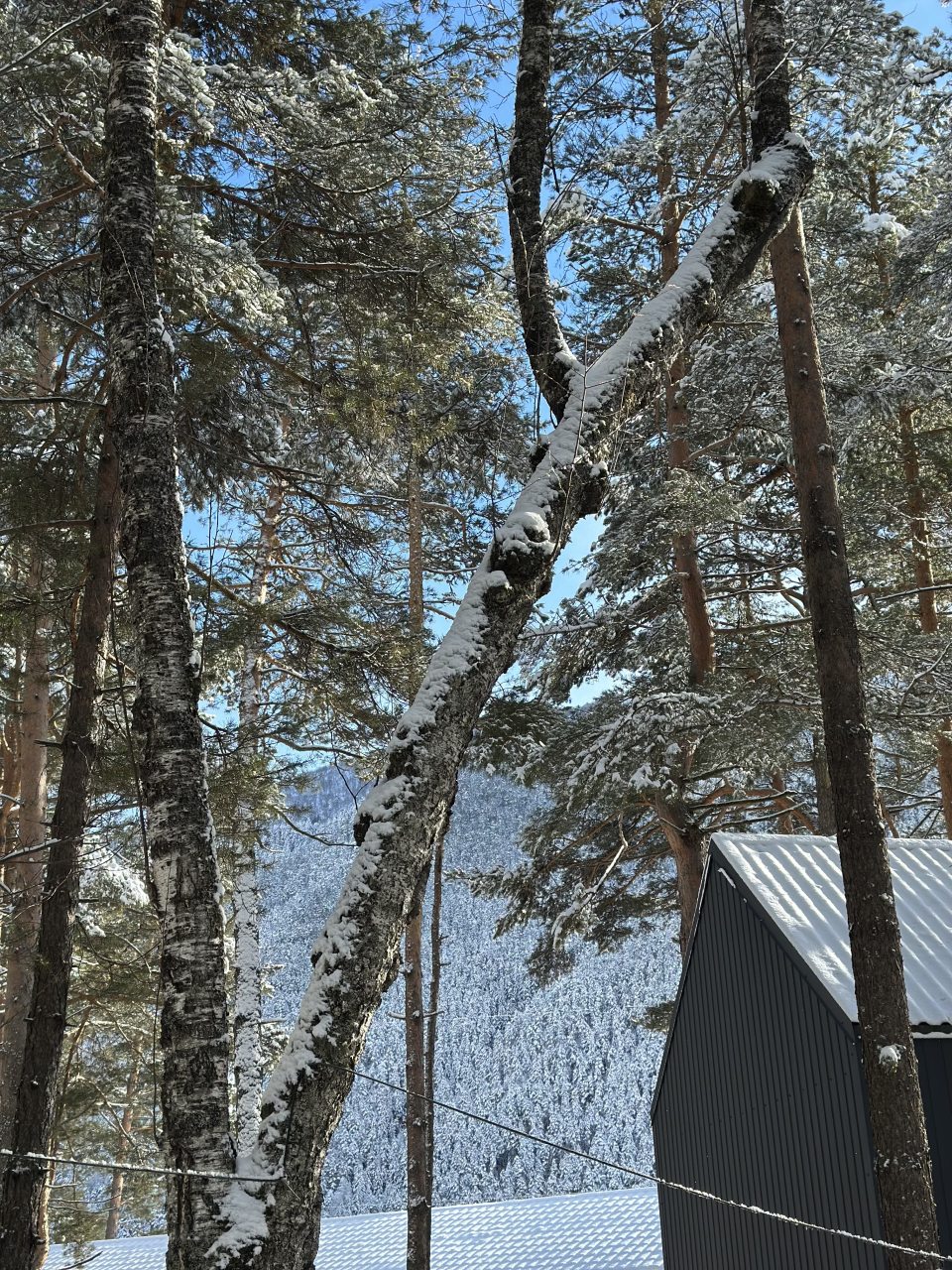 Дом (Барнхаус 1), База отдыха Дух леса