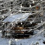 Дом (Барнхаус 2), База отдыха Дух леса