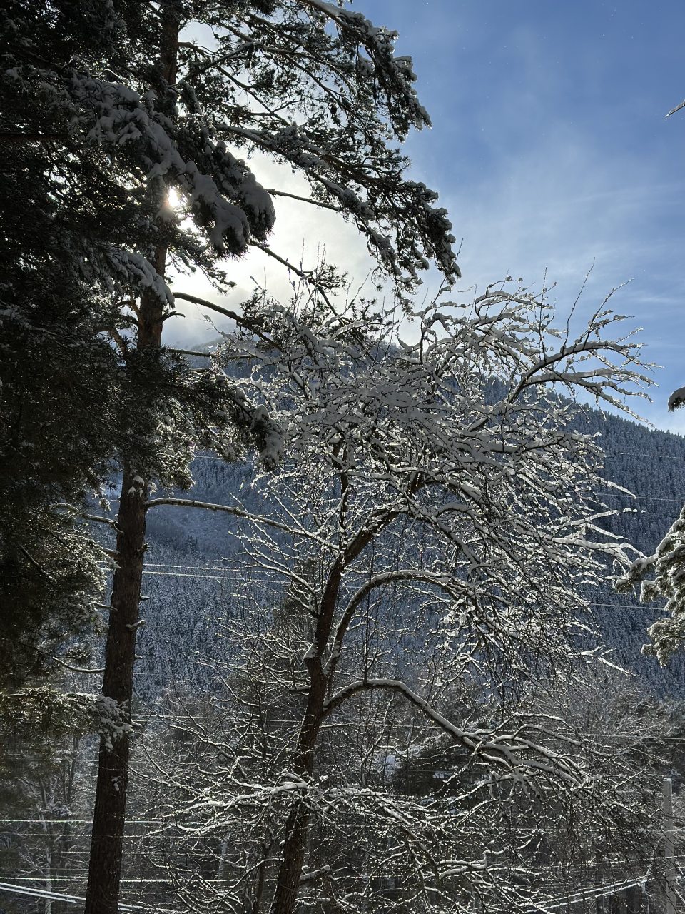 Дом (Барнхаус 2), База отдыха Дух леса