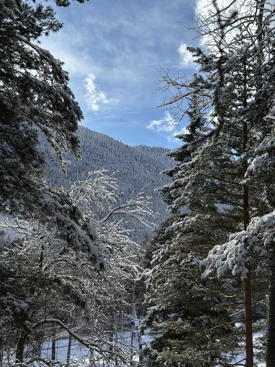 Дом (Барнхаус 3), База отдыха Дух леса