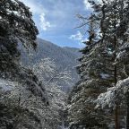 Дом (Барнхаус 3), База отдыха Дух леса