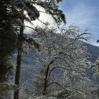 Дом (Барнхаус 3), База отдыха Дух леса