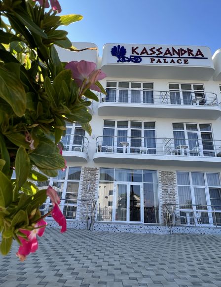 Отель Kassandra Palace