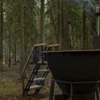 Дом (СВОБОДА  входит лесная ванна), Лесной отель НЕШАЛАШИ