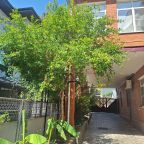 Двор общий для гостей