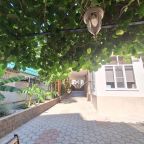 Стол с лавочками под киви