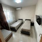 Четырехместный (Комфорт(№3) духкомнатный), Гостевой дом Вишневка