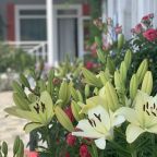 Двухместный (Стандарт), Гостевой дом Hurma Home