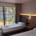 Номер (Стандарт), Отель Гора