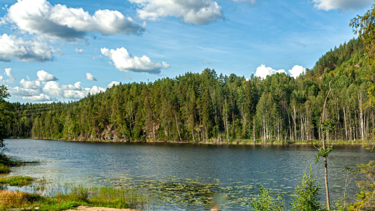 Номер (Стандарт), Отель Гора