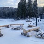 Номер (Стандарт), Отель Гора