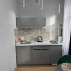 Допускается размещение домашних животных, Апартаменты На Городничанской 21