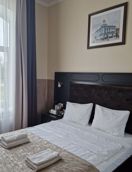 Фотография номера гостиницы Елизавета