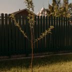 Апартаменты (Апарт 3), Апарт-отель Гости