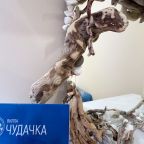 Двухместный (Стандарт лайт), Гостевой дом Вилла Чудачка