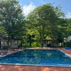 открытый подогреваемый 6*10*1,5 м с детской зоной внутри, Мини-отель Black Rock Garden