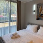 Апартаменты (Четырёхместные улучшенные с балконом), Апартаменты С видом на горы