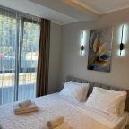 Апартаменты (Четырёхместные улучшенные с балконом), Апартаменты С видом на горы