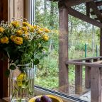 Коттедж (Однокомнатный коттедж), База отдыха Усадьба Лебяжье