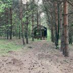 Вид на сад, Глэмпинг Сосны