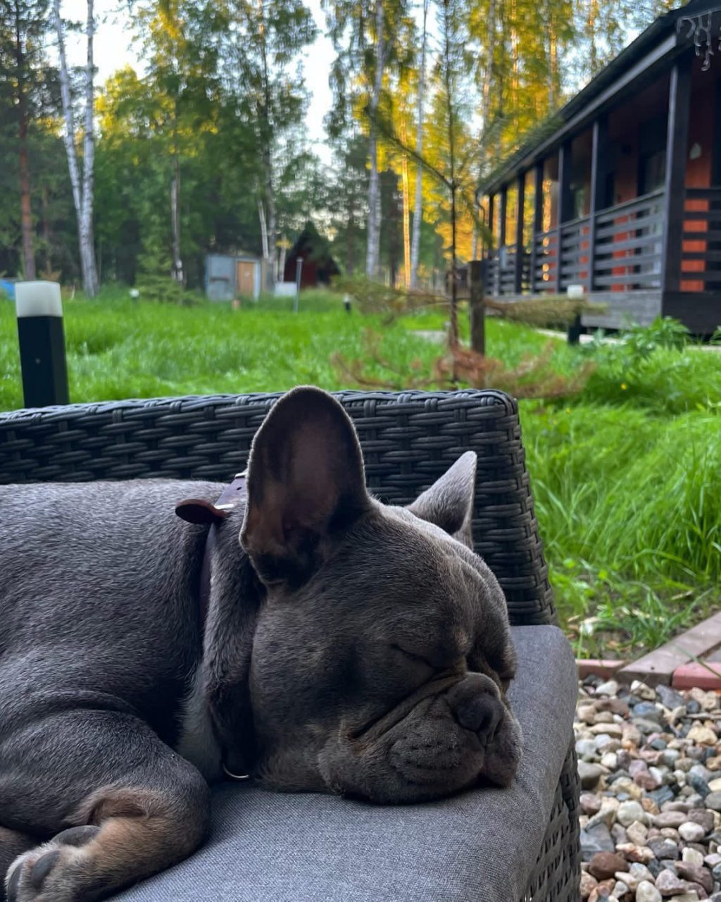 Коттедж (LATO-65 Sauna), Гостевой дом Домик в соснах