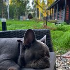 Коттедж (LATO-65 Sauna), Гостевой дом Домик в соснах