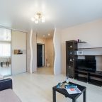 Квартира (Апартаменты возле Московской площади, 51), Апартаменты На Пухова 31