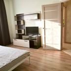 Квартира (Квартира 1-к, 96), Апартаменты На Пухова 31