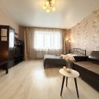 Квартира (Апартаменты возле Московской площади, 51), Апартаменты На Пухова 31