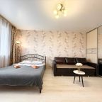 Квартира (Апартаменты возле Московской площади, 51), Апартаменты На Пухова 31