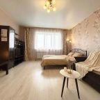 Квартира (Апартаменты возле Московской площади, 51), Апартаменты На Пухова 31