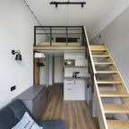 Четырехместный (Двухуровневый четырехместный Junior Suite), Отель Norke Парковая