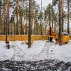 Вилла (Вилла в сосновом лесу №2), Коттедж Виллы и Барны от Домик58