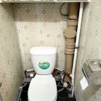 Апартаменты (Like Home на Ломоносова в центре города), Апартаменты Like Home в центре города