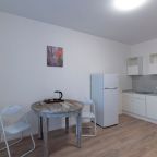 Квартира (Inndays Apartments, Лог 2), Апартаменты Inndays на Логинова 5к1
