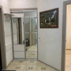 Одноместный (Великолепная однокомнатная квартира напротив речки Великая), Апартаменты Светлые однокомнатные