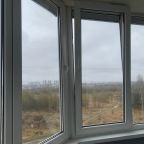 Одноместный (Великолепная однокомнатная квартира напротив речки Великая), Апартаменты Светлые однокомнатные