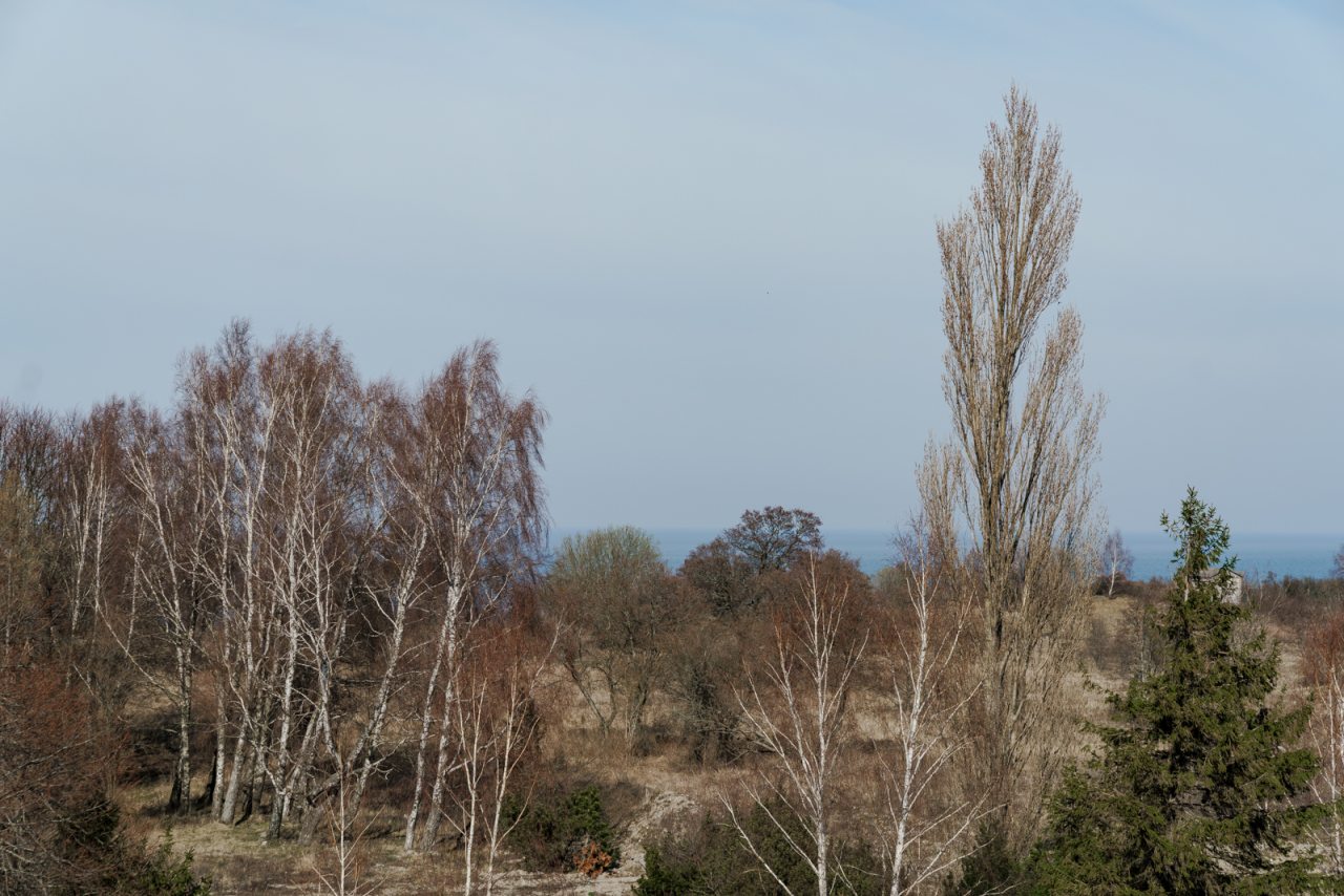 Апартаменты (Пионерский Прибрежная 21/1 116), Апартаменты Apart-deluxe Легенды Моря на Прибрежной 21/1