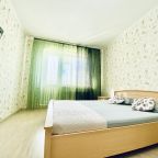 Квартира (Мира 84 б), Апартаменты SeverAtart на Советской 88
