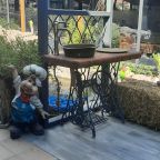 Разрешено проведение мероприятий, Загородный отель Золотая Вилка