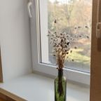 Двухместный (Комфорт №2 с диваном), Отель Лес Георга