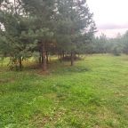 Объект находится в лесу, База отдыха Круиз Вилладж