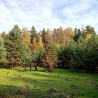 Большая территория в лесу