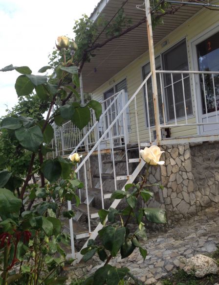 Фотография номера базы отдыха Бухта