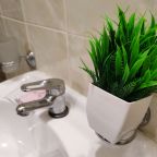 Двухместный (Двухспальная кровать с удобствами в номере), Отель Лилия